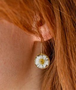Daisy resin hoop earrings with pressed white flower, marguerite epoxy resin wildflower earrings, real flowers, bridesmaid wedding